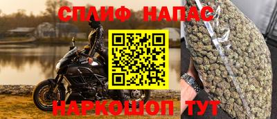 стаф Кунгур