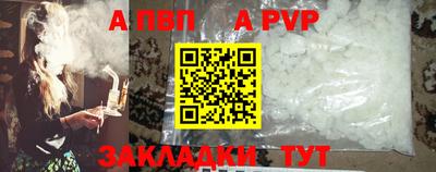 стаф Кунгур