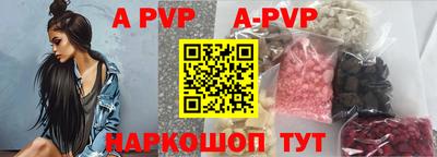 стаф Кунгур