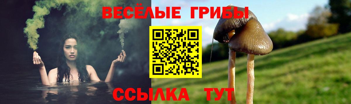 Псилоцибиновые грибы Magic Shrooms  Вход с VPN  Чапаевск 
